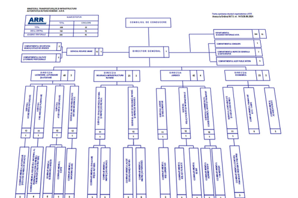 Organizare